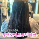 팝콘헤어샵 | 르무이헤어 평택고덕점에서 오가닉트리트먼트 후기(임산부관리)