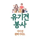 순창군 청소년센터 | 유기견 봉사 활동으로 세상을 바꾸는 법 - 전국 유기견 보호소 참여 방법부터 준비물까지 완벽 가이드