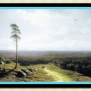 횡성 둔내면복지회관 이미지