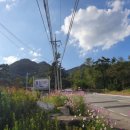 안골동산정원 네이버블로그