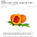 “토마토의 수십배”…라이코펜 가장 많은 과일 ‘걱’ 화제 이미지