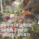 버스터미널 뒤 경동로 | [촬영 부케] 고속버스터미널 화훼상가 예림조화 솔직 후기 ｜조화 부케 3개로 웨딩촬영 끝냄!