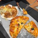 스타애견 이미지