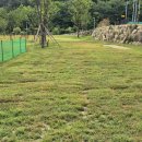 수목원파크 이미지