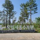 백송태양광 | 이렇게 멋진 수목원과 온실이 국내에 있다니! 국립세종수목원으로 놀러 오세요~