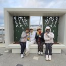 25,12,2.충남 태안(바라길1코스)학암포~구례포해수욕장&amp;신두리해안사구. 이미지