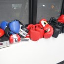 팀엑스복싱 이미지