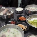 화성식당 | 제주도 접짝뼈국 현지인 맛집 ‘화성식당’ 웨이팅 후기 (포장,예약 불가)