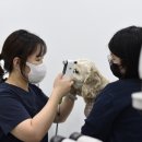 아이들 동물병원 이미지