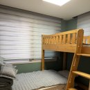 영대세탁 | 대구여행, 대구 에어비앤비 애견동반 가성비 단체숙소 꼬모하우스