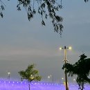 주)봉산집 | [일상] 알차게 초여름 보내기, 홍콩여행 그레이터베이항공 후기✈️ (feat. 극악 롤러코스터)