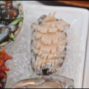 포항회수산 이미지