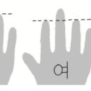 검지. 약지 길이를 보면 남녀 구분 할 수 있다, 이유는? 이미지