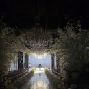 안양노동복지회관 | W1-2. 수원 더시그니처클래스 웨딩홀투어 솔직후기 (견적공유⭕, 계약✖️)