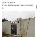 오마틸라 이미지