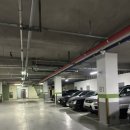 중앙로1325 | [하남 맛집] 나의 인생 고깃집이 된 미사고깃집 돗 대만족 후기