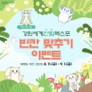 강원이벤트 티스토리