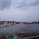 원패스 행정사사무소 이미지