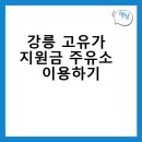 강릉 고유가지원금 주유소 이용하기