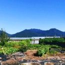 태암농장 이미지