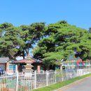 용흥보건진료소 이미지