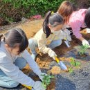 궁평초등학교 이미지