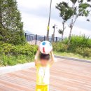 둘리몬테소리어린이집 이미지