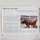 대우식육점 이미지