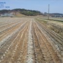 중로(보)2-1-13 이미지