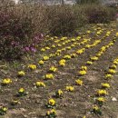 생활환경 공원 이미지