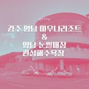 이마트24 울산천상블루점 | 경주 마우나오션리조트 온돌룸 인근 갈 만한 곳 양남눈썰매장 광선해수욕장 후기