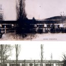 안성초등학교 이미지