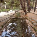 별천지야영장 이미지