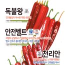 신비너스 이미지