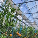 시은이네 농장 이미지