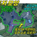 종달리삼거리 이미지