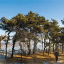 구암근린공원 이미지