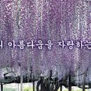 현플라워 이미지