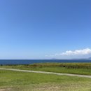 (야간)뜨개질 기초 | 밝은누리안과병원 스마일라식 한달 경과후기