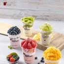 요거프레소 이미지