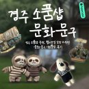 문화정문문구 | 경주 소품샵 추천, 황리단길 감성 가득한 문화문구 기념품샵 후기