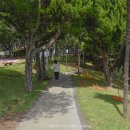 미카형 증기기관차 304호 이미지