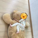 서판교세탁 이미지