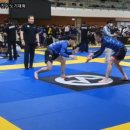 팀피니쉬 주짓수&복싱MMA 이미지