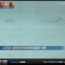 티오디