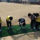 학림초교(병설) 이미지