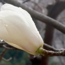 안성남사당공연장 이미지