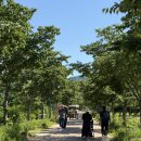 거창-거창-2 | 거창 창포원 방문후기｜5월 6월 가볼만한 경남 나들이 명소