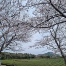 (주)제주여행문화 | 제주서쪽여행기 2, 이니스프리제주하우스. 한경면찻집이립. 저지문화예술인마을. 제주도립김창열미술관