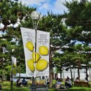 레몬 뮤직 페스티벌 in 달서 | 2024 레몬뮤직페스티벌in달서 다녀온 후기